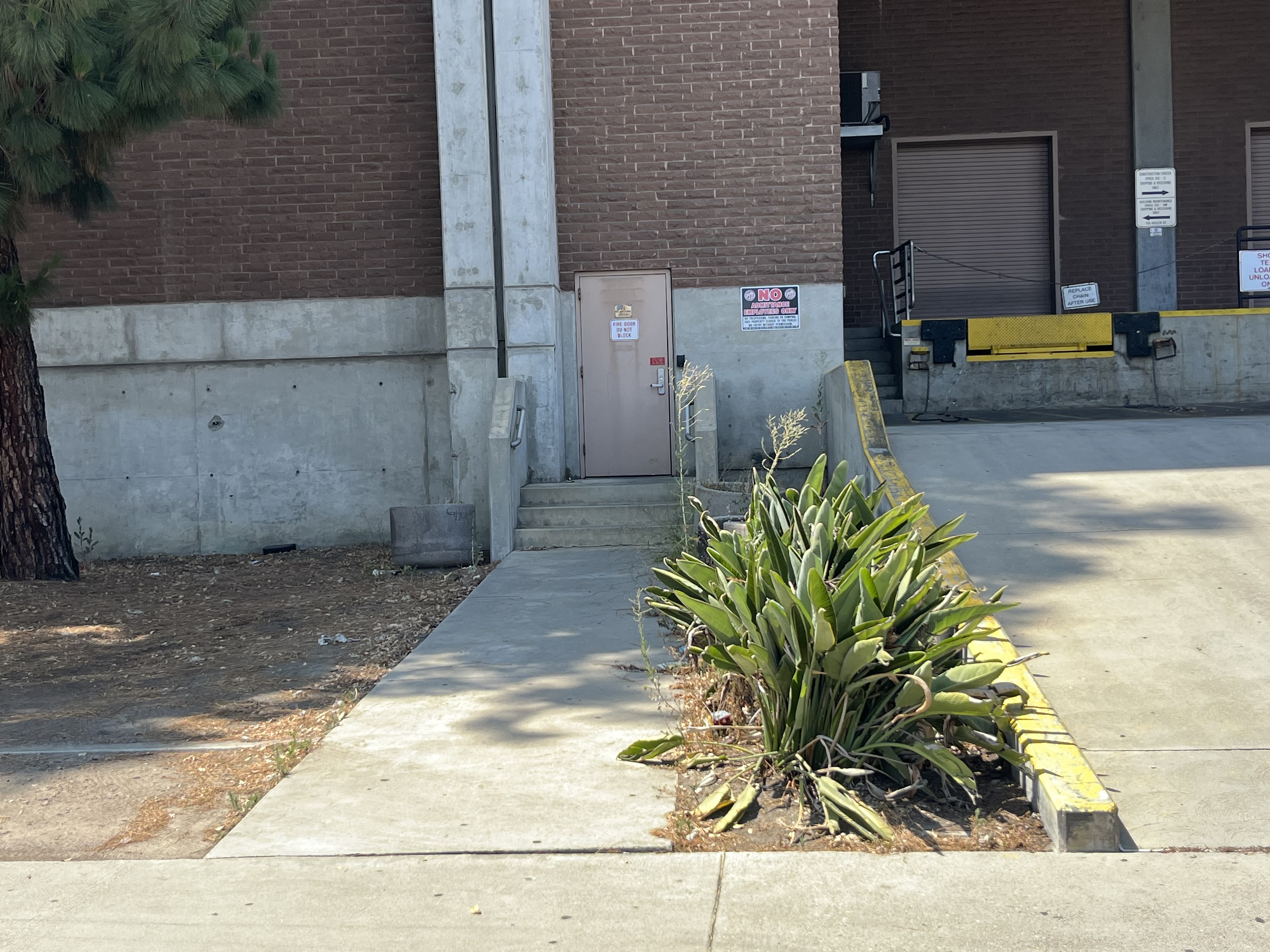 "The Terminator" series filming locations' tour - sub photo 63