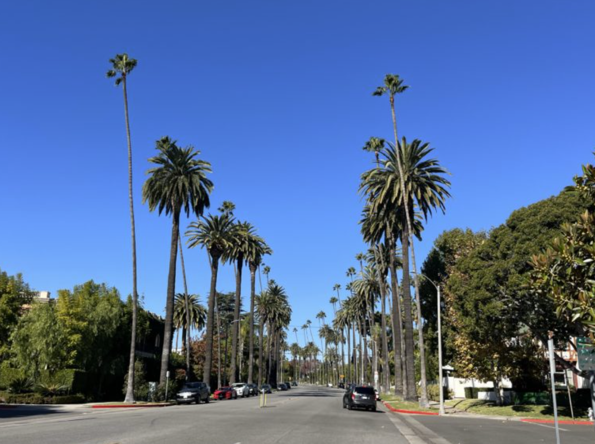 Beverly Hills High School White Paper / White Paper of Youth Location Tour - sub photo 13